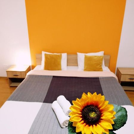 Apartament Nexus Miercurea Ciuc Zewnętrze zdjęcie